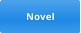 Novel